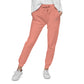 HD logo Unisex fleece sweatpants